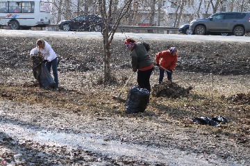IMG_8354_preview.jpg