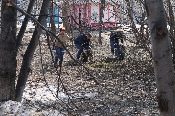 IMG_8355_preview.jpg