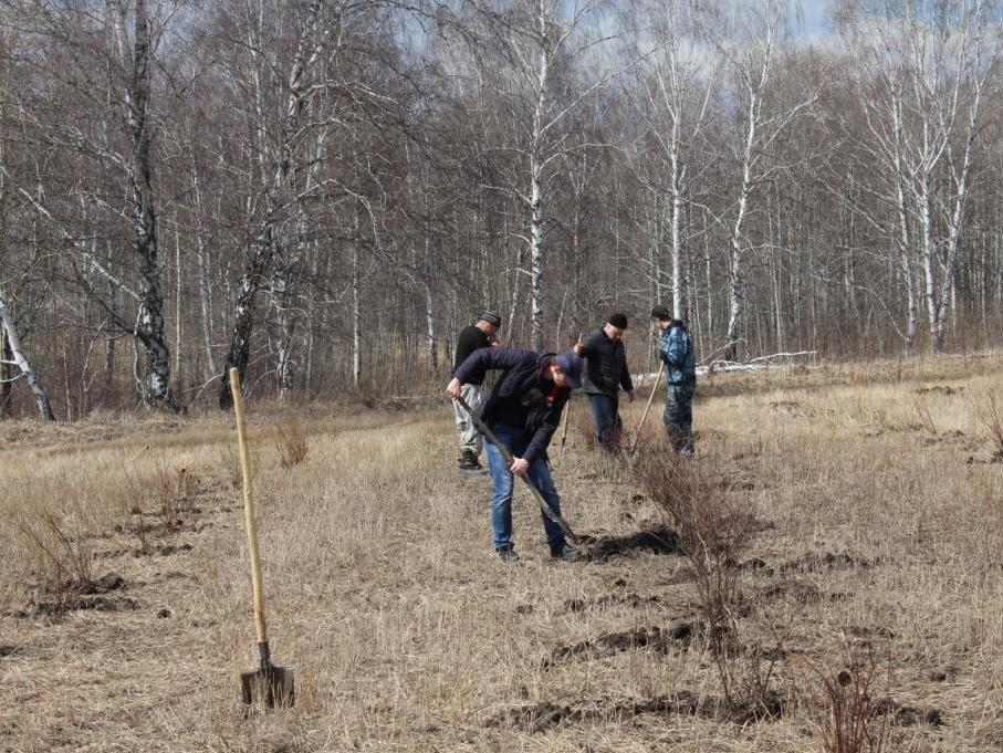 ТАПТ_1_11.JPG